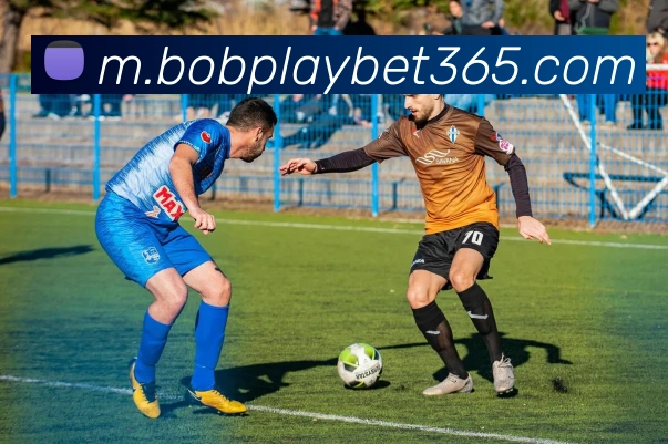 bob体育APP 封面图